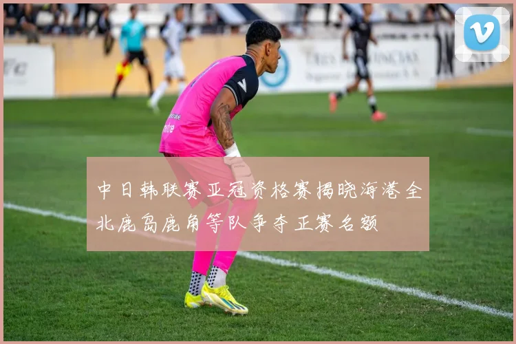中日韩联赛亚冠资格赛揭晓海港全北鹿岛鹿角等队争夺正赛名额