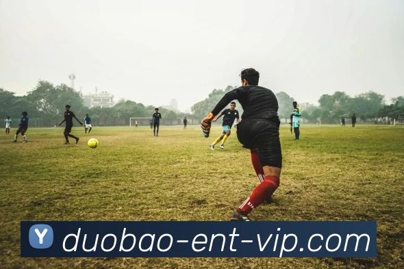 多宝娱乐平台生态图